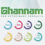 Ghannam